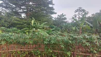 For Sale Tanah Eksklusif di Pagedangan, Tangerang, LT 12000m²