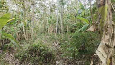 Tanah Harga Hemat di Pacitan, Pacitan, Harga 250 Juta