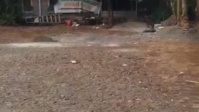 For Sale Tanah Eksklusif di Fatmawati, Jakarta Selatan, LT 1200m²