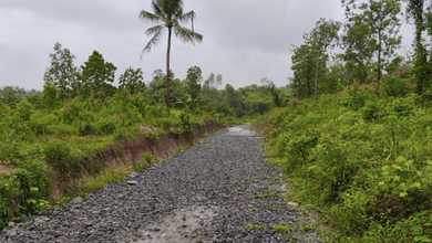 Segera Miliki Tanah Harga Ekonomis di Tenjo, Bogor