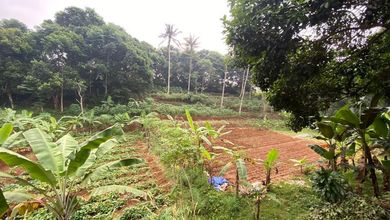 Kavling Prestisius Dijual di Bogor Timur, Bogor, Harga 73,8 Triliun