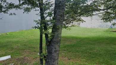 Tanah Elit Dijual di Puri Indah, Jakarta Barat, Harga 20 Miliar