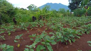 Dijual Tanah Eksklusif di Ciawi, Bogor, LT 7000m²