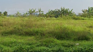 Tanah Elit Dijual di Cicurug, Sukabumi, Harga 13,3 Miliar