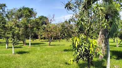 Dijual Tanah Eksklusif di Tanggerang, Banjar, LT 25000m²