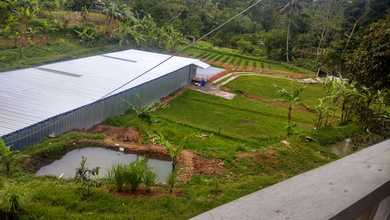 Promo Tanah Strategis di Bogor Barat, Bogor, Harga 1,6 Miliar