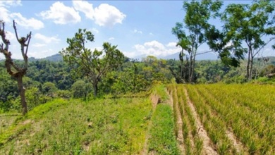 For Sale Tanah Premium di Payangan, Gianyar, LT 50100m²