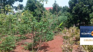 Tanah Elit Dijual di Cibubur, Bekasi, Harga 1,75 Triliun