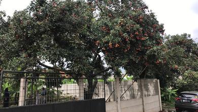 Dijual Tanah di Lokasi Premium Cibubur, Bekasi, Harga 2,34 Miliar