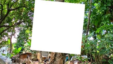 For Sale Tanah Eksklusif di Cibubur, Jakarta Timur, LT 396m²