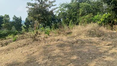 Promo Tanah Strategis di Klapanunggal, Bogor, Harga 2,2 Miliar