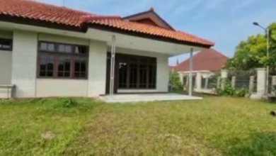 Rumah Minimalis Disewakan di Bogor Tengah, Bogor, Harga Ekonomis