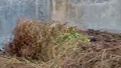 Dijual Tanah Eksklusif di Surabaya Kota, Surabaya, LT 135m²