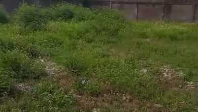 Tanah Elit Dijual di Cileungsi, Bogor, Harga 16,4 Miliar