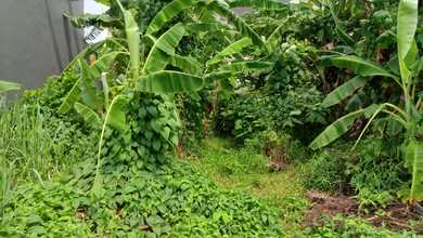 Kavling Prestisius Dijual di Pulogebang, Jakarta Timur, Harga 142 Miliar