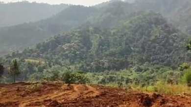 Dijual Tanah Premium di Babakan Madang, Bogor, LT 4000m²