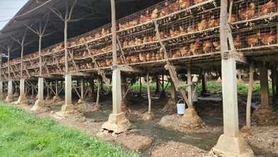 For Sale Tanah Eksklusif di Rumpin, Bogor, LT 110000m²