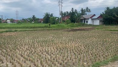 Kavling Prestisius Dijual di Padang Kota, Padang, Harga 3,1 Miliar