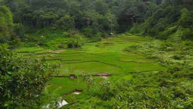 Tanah Elit Dijual di Bogor Barat, Bogor, Harga 13,9 Triliun