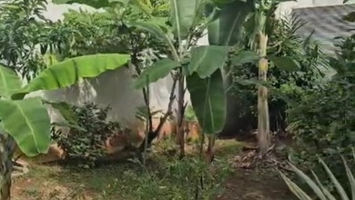 Kavling Prestisius Dijual di Pondok Bambu, Jakarta Timur, Harga 4 Miliar