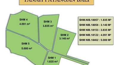 Kavling Prestisius Dijual di Payangan, Gianyar, Harga 637 Triliun