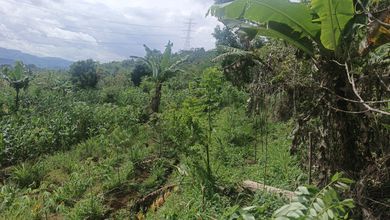 Jual Tanah di Lokasi Premium Jampang Tengah, Sukabumi, Harga 1,5 Miliar