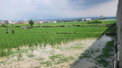 Tanah Elit Dijual di Rancaekek, Bandung, Harga 560 Miliar