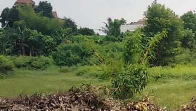 Dijual Tanah Eksklusif di Kemang, Jakarta Selatan, LT 19000m²