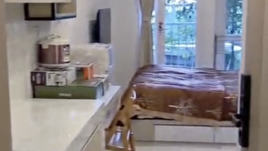 Apartemen Sewa Harga Terjangkau di Pantai Indah Kapuk 2, Jakarta Utara