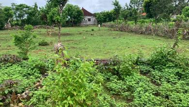 Dijual Tanah Premium di Balangan, Badung, LT 3030m²