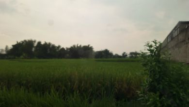 For Sale Tanah Eksklusif di Dlanggu, Mojokerto, LT 2380m²