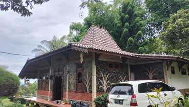 Dijual Cepat Villa di Gunung Geulis Bogor, Taman Luas Banyak Pohon Buah2an