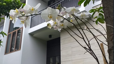 Rumah Prestisius di Kawasan BSD The Green, Tangerang, LB 500m², Harga 12 Miliar