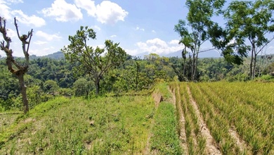 Tanah Prospektif di Area Gianyar, Gianyar, LT 50000m²