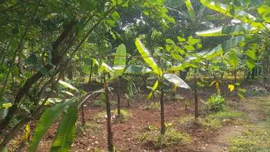 Tanah Elit Dijual di Balaraja, Tangerang, Harga 100 Miliar