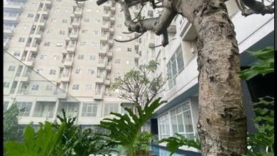 Jual Apartemen Strategis di Sektor 9-Bintaro, Tangerang Selatan, Luas 22m²