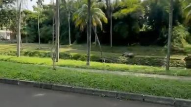 Kavling Prestisius Dijual di BSD Puspita Loka, Tangerang, Harga 2,81 Triliun