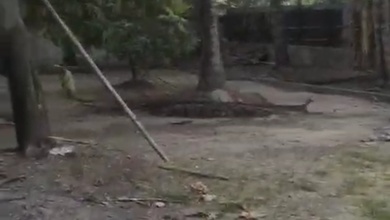 Jual Tanah Lokasi Strategis, Luas 1800 m2