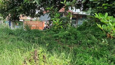 Segera Miliki Tanah Harga Ekonomis di Sukamakmur, Bogor