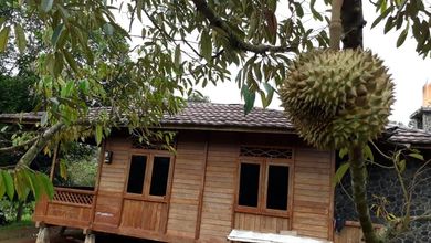 Promo Tanah Strategis di Sukamakmur, Bogor, Harga 1,65 Miliar