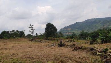 Tanah Elit Dijual di Jonggol, Bogor, Harga 3,6 Miliar