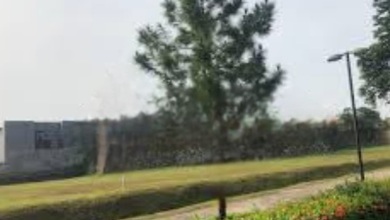 Disewakan Tanah Premium di BSD, Tangerang Selatan, LT 3100m²