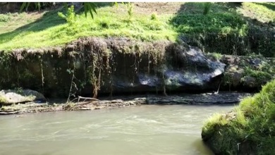 Kavling Prestisius Dijual di Ubud, Gianyar, Harga 212 Miliar