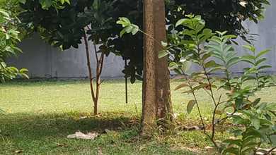 Tanah Nyaman untuk Hunian di BSD, Tangerang, Luas 186m²