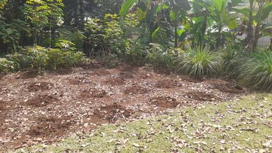 Jual Tanah di Lokasi Premium Bogor Selatan, Bogor, Harga 2 Miliar