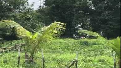 Investasi Tanah Murah di Sukarami, Palembang, Luas 13m²