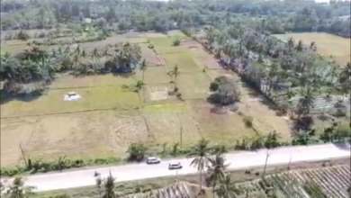 Tanah Elit Dijual di Panimbang, Pandeglang, Harga 24,9 Miliar