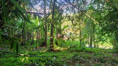 Kesempatan Tanah Strategis di Pandeglang, Pandeglang, Harga 925 Juta