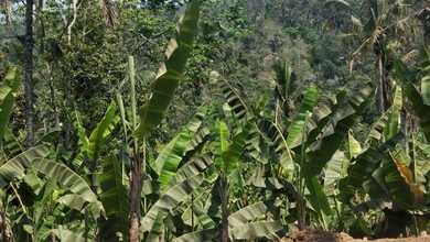 Tanah Elit Dijual di Gianyar, Gianyar, Harga 216 Triliun