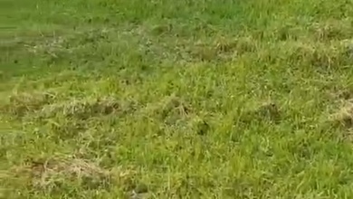 Tanah Ideal untuk Hunian di Suvarna Sutera, Tangerang, Luas 287m²